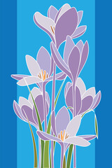 Abstract of Crocus sativus flower with leaf on blue background.