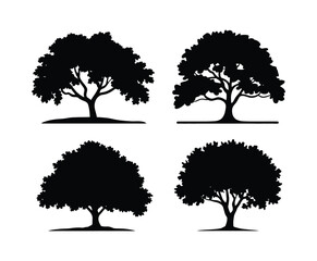 Oak Tree Silhouette EPS Vector Template on a White Background