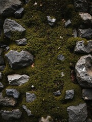 A mossy rock wall has various sized rocks and patches of grass.