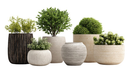 Potted Plants Array: An assortment of aesthetically pleasing, meticulously arranged potted plants, showcasing an array of green foliage within a variety of stylish planters.
