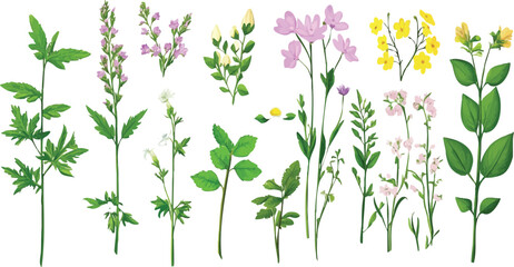 Full watercolor floral package with detailed art. Designed for wedding invites and fashion decor. Perfect for spring greetings, patterns, and posters.