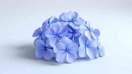 A cluster of delicate, light blue hydrangea blossoms with darker blue veining is centered on a soft white background.