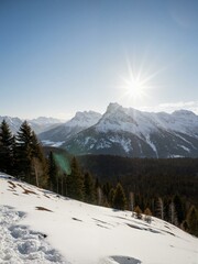 A snow covered mountain with evergreen trees.