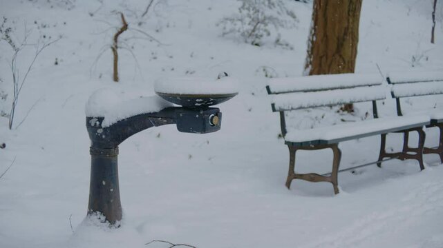 Footage shows a park bench in Central Park covered in snow, surrounded by snow-draped trees. The setting reflects the stillness and beauty of winter in New York City