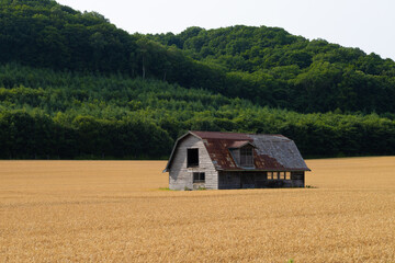 Decayed Barn