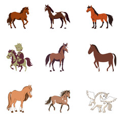 Fototapeta premium Hourse Vector 