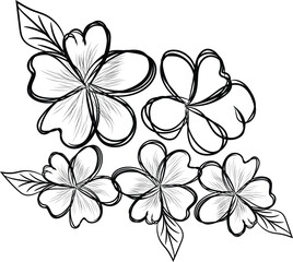 Elegant Black and White Hand Drawn Floral Illustration