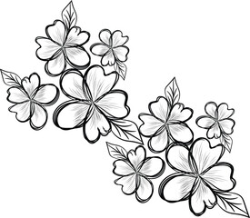 Elegant Black and White Floral Design with Delicate Flowers and Leaves