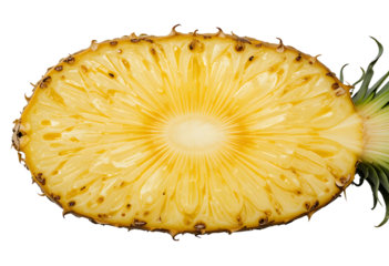 A horizontal cross-section of a ripe pineapple showing its circular core and radial pattern, placed on a white background like a fruit diagram, top-down view, ultra high detail