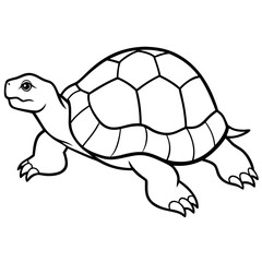 Tortoise Zen  Line Art Design