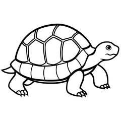 Tortoise Zen  Line Art Design