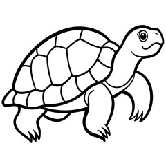 Tortoise Zen  Line Art Design