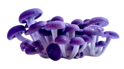 a group of purple mushrooms on a white surface