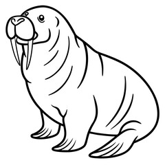 Icy Walrus line art vector