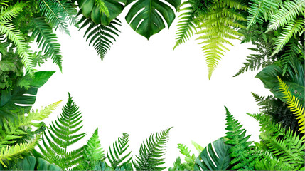 Lush Tropical Foliage Frame  transparent Background, Perfect for Text or Images