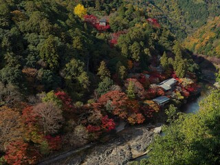 Scenic Autumn Foliage View in Oku-Arashiyama, Kyoto, Japan