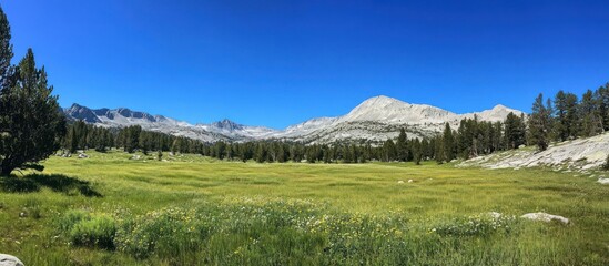 Picturesque mountain landscape with meadow, trees and clear blue sky panorama