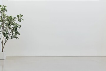 Simple, minimalist, modern interior space