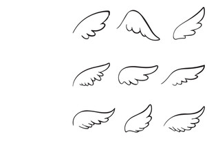 Group Bird Vector Wings Picture