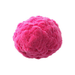 Fluffy Pink Brain Abstract 3D Render of a Fuzzy Neurological Concept