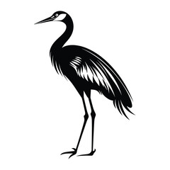 Obraz premium Crane animal isolated vector black silhouette