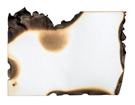 Piece of paper with burnt edges and scorch marks creates dramatic and distressed appearance, evoking sense of history or destruction