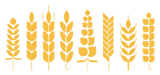 Cereal ear or spike outline icons. Wheat, rye, barley and millet vector natural grains. Yellow plant stalk for bread baking, isolated bakery, harvest and agriculture industry symbols. farm grains
