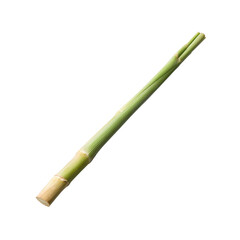 Fototapeta premium Single stalk of fresh green Lemongrass isolated on black background