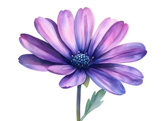 A vibrant purple and pink watercolor flower blossom with detailed petals and a dark blue center isolated on white background.