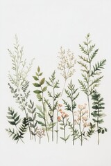 Botanical Illustration of Various Greenery and Foliage Types