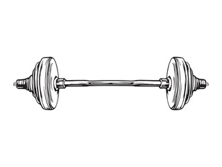 Barbell vector line art