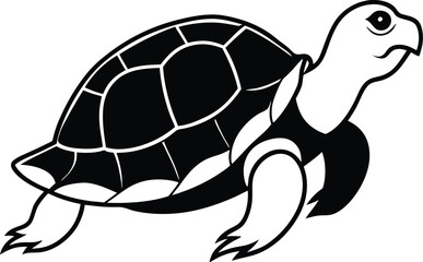 turtle vector illustration