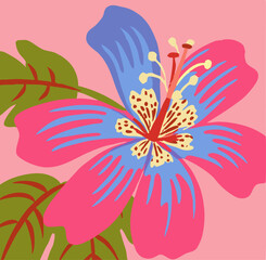 Pink and Blue Tropical Flower Illustration