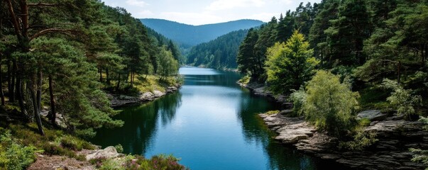 Scenic view of lake in pine forest around beautiful landscape concept. A serene lake surrounded by lush greenery and distant mountains.