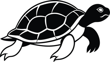 turtle vector illustration