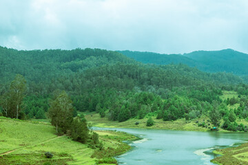 Lush green hills surround a serene lake in Kodaikanal, creating a peaceful landscape.