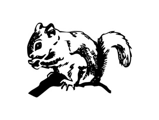 Cute Little Squirrel Icon Logo Design – Charming SVG Image File for Nature, Kids, Branding, Crafts, and Creative Projects