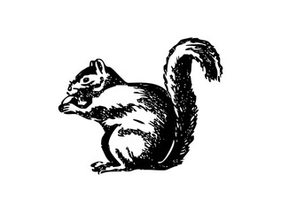 Cute Little Squirrel Icon Logo Design – Charming SVG Image File for Nature, Kids, Branding, Crafts, and Creative Projects