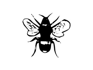 Elegant Butterfly Icon Logo Design – Beautiful SVG Image File for Nature Themes, Branding, Fashion, Crafts, and Creative Projects