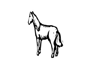 Obraz premium Horse black outline logo design, minimal horse icon, vector SVG file, downloadable horse silhouette, equine symbol, modern logo art