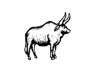 Yolk Animal Icon Logo Art Design SVG – Fun Vector File for Eggs, Characters, Food, and Creative Branding Projects