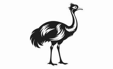 Emu bird silhouette, Emu vector illustration, Emu animal graphic, Emu shape outline, Emu profile art
