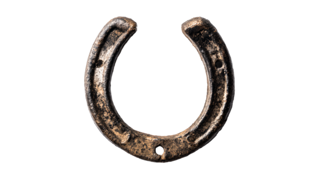 a horseshoe shaped object on a white surface