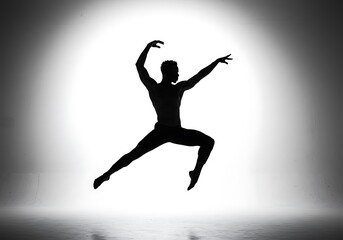 Naklejka premium Silhouette of Flight