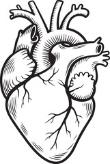 Large Anatomical Heart Vector Illustration Filled with Detailed Medical and Artistic Elements

