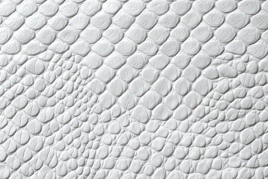 Textured Close-Up of White Snake Skin Pattern on Smooth Surface