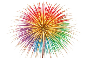 PNG Vibrant multicolored firework burst against black sky
