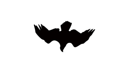 An eagle dives, black and isolated silhouette