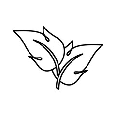 Leaf Icon