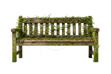 PNG Rustic wooden bench covered in lush green moss and ivy